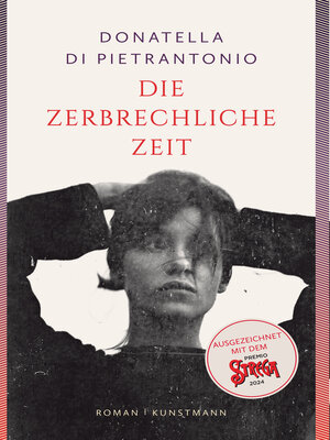 cover image of Die zerbrechliche Zeit